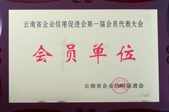 鼎博·(中国游)有限公司官网