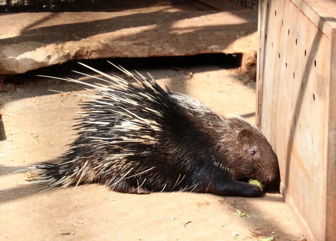 鼎博·(中国游)有限公司官网