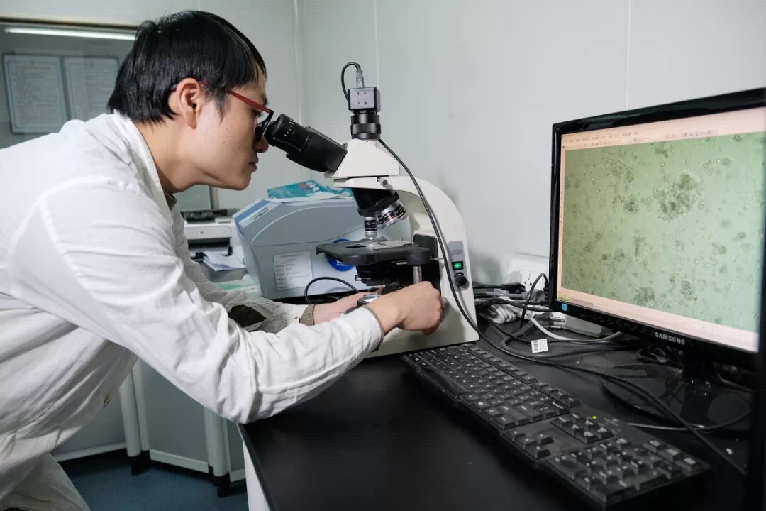 鼎博·(中国游)有限公司官网