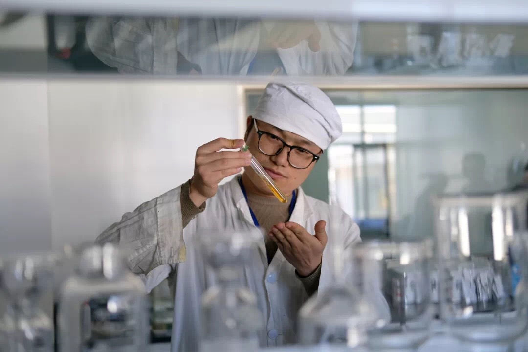 鼎博·(中国游)有限公司官网