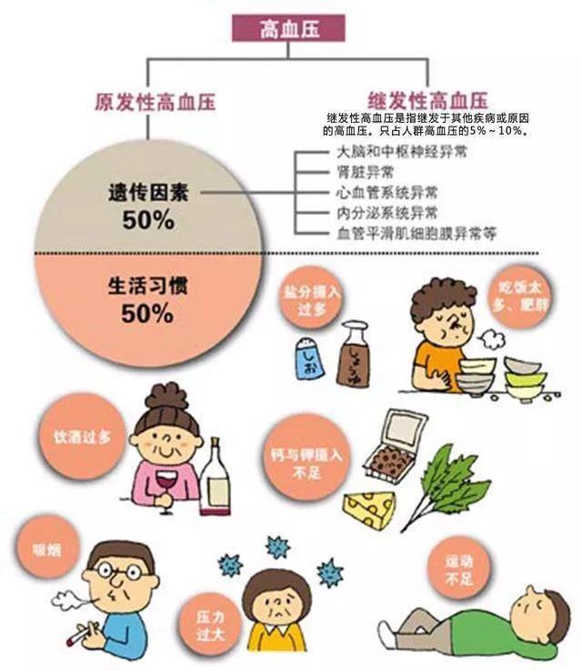 鼎博·(中国游)有限公司官网