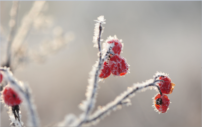 鼎博·(中国游)有限公司官网