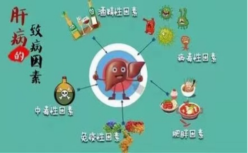 鼎博·(中国游)有限公司官网