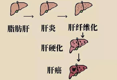 鼎博·(中国游)有限公司官网