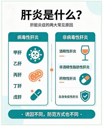 鼎博·(中国游)有限公司官网